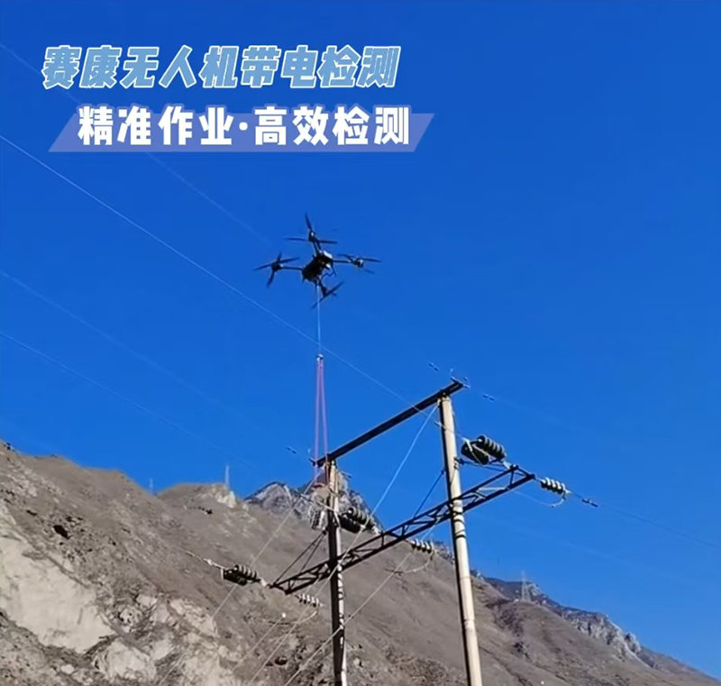 1736736960124490.jpg 图2.jpg